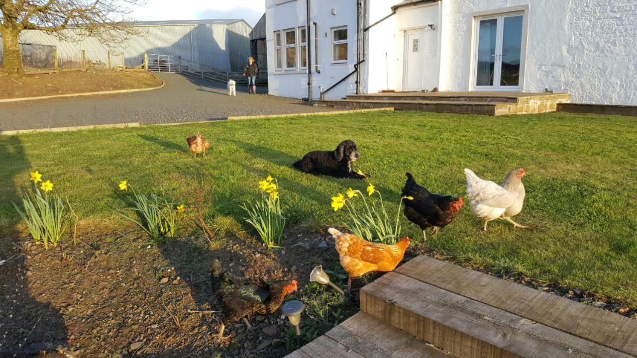 Crofthead Farm House Tarbolton 외부 사진